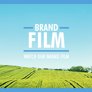 Brand Film